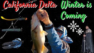 🐟 Cold Water Bass - California Delta