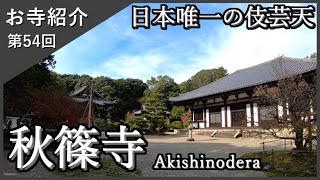 【お寺紹介54】秋篠寺・奈良 －単立－ 9分でお寺を案内します。