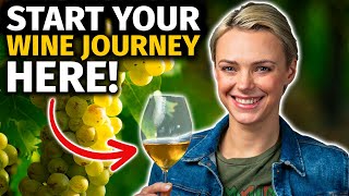 Beginner's Guide to WINE: 7 Expert TIPS to Start & Elevate Your WINE JOURNEY