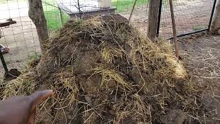 Goat Paddock Clean Out: What We Use to Make Our Produce Thrive