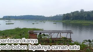 mancing hari ini//dapat manohara😅