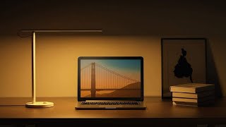 5 Best Desk Lamps of 2023