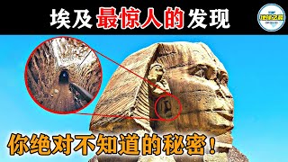 狮身人面像下的神秘隧道通向哪儿？10个埃及最新的惊人发现！丨地球之最#冷知识 #排名 #世界之最#古埃及#木乃伊#金字塔#狮身人面像#法老木乃伊#外星人#探索#世界之最top#top10