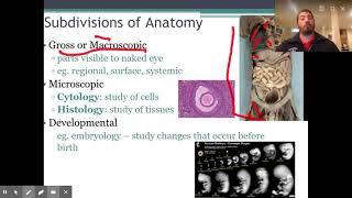 Introduction to Anatomy and Physiology