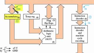 sec 17 4 Instruction Execution within a Microprocessor