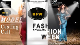 Nagaland Fashion Week is Back| Audition Vlog |