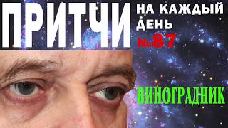 Притчи на каждый день. Владимир Бутромеев. №87. Виноградник