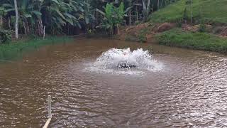 Aerador para melhorar o oxigênio da água das tilápias