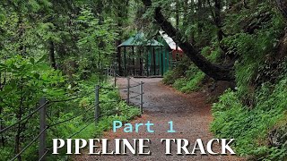 PIPELINE TRACK Ayubia | Dunga Gali TRACK | Ayubia National Park | Galiyat Tour