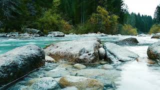 Nature | Beautiful | Trees | River | Sound of nature |