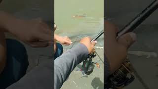 Mancing perkara !!! Bagaimana sekarang nasibnya   #shortvideo #mancing #fishing #ngakak