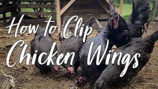 How to Clip Chicken Wings