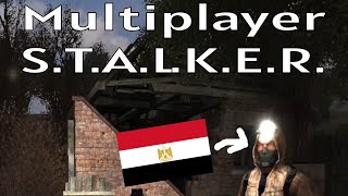 Drunk in the Zone -  Multiplayer STALKER