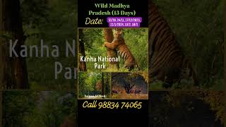 Wild Madhy Pradesh