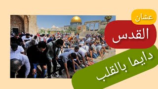 عشان القدس بالقلب_لازم نستمر❤