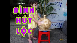 Chum gỗ nu nghiến đẹp 🌳 Đồ Gỗ Mỹ Nghệ 🌳 Tượng Gỗ Phong Thủy 🌳 Shop Đồ Gỗ