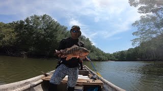 ATAQUE BRUTAL DE PARGO!! PESCA DE PARGO EN MANGLARES, COSTA RICA.