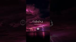 ارح سمعك مع لقارئ عبدالرحمن مسعد🤍🎧 #عبدالرحمن_مسعد #تلاوة #القرآن #القران_الكريم