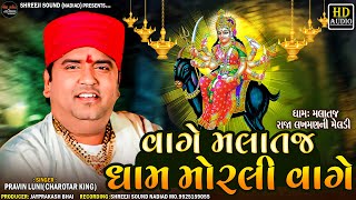 Pravin Luni | Vage Malataj Dham Morli Vage - વાગે મલાતજ ધામ મોરલી વાગે | Shreeji Sound Nadiad