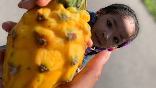 Yellow Dragon Fruit Mukbang