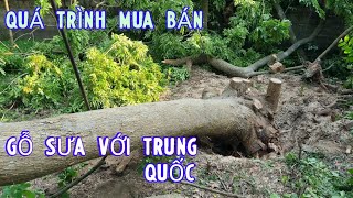 Chi Tiết Quá Trình Buôn Bán Gỗ Sưa Với Người Trung Quốc Sẽ Như Thế Nào Tại Làng Nghề Gỗ Sưa Non