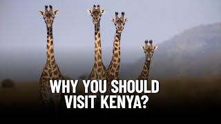 Kenya: The Ultimate Safari Destination You Can't Miss!