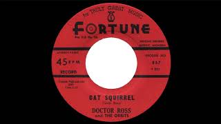 Doctor Ross "Cat Squirrel" (1961)