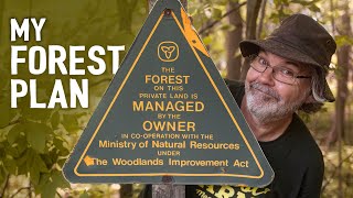 5 REASONS why you should have a Forest Management Plan