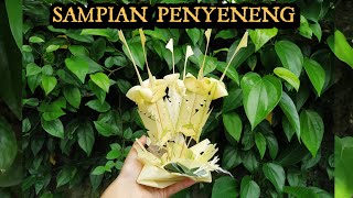 CARA MEMBUAT SAMPIAN PENYENENG SESAYUT