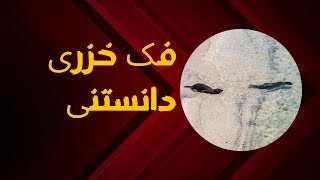 چند فکت خزری