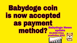 Babydoge coin Next future payment at Singapore?