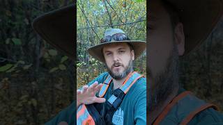 INVASIVE SPECIES EXPLAINED: WHY is BUCKTHORN INVASIVE?