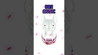 BRZ - TRAP BEAT - BASS READER ZONE - MUSIC