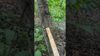 OLD WOODEN FENCE POST TELLS OLD STORY #wood #fence