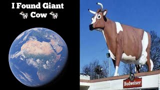 I Found Giant 🐄 Cow 🐄 On Google Earth & Map