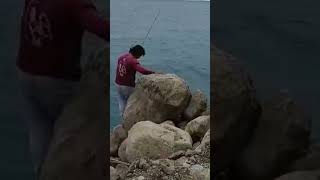 #fishing #pinoyangler #shortvideo #fish #zamboanga #philippine