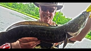 Snakehead Fishing with Ken Beam - Watch Ken go after Snakeheads for the 1st time!