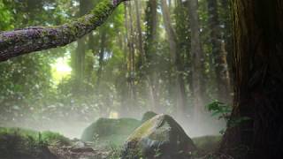 Relaxing Forest With Mysterious Piano Music: Deep Sleeping, Meditation, Stress Relief