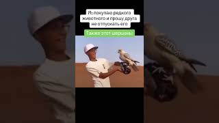 Другу можно доверить всё😂