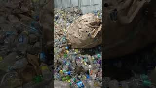 plastic scrap recycling process pet bottle company #plastic #recyling #process @MANIYARPLASTICS