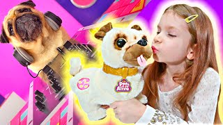 МОЙ ЩЕНОК! ТАНЦУЮЩИЙ МОПС - ПИТОМЕЦ от PETS & ROBO ALIVE!