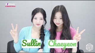 [ENG SUB] tripleS SIGNAL LIVE 240814 (Chaeyeon, Sullin) 트리플에스 Durianz