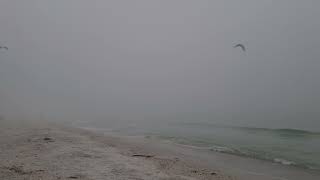 Foggy Sunrise On Pass A Grille Beach 12/12/2021