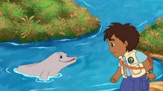 Diego Saves Baby River Dolphin