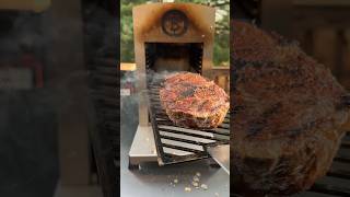 Nothing like some steak ASMR to start your day off right! I love my Traeger and meater!