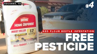 Socorro residents receive free pesticides to combat red flour beetle; 471 homes affected