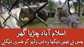 ISLAMABAD ZOO | اسلام آباد چڑیا گھر‎ | Full HD | 2019 | Zawar Shah