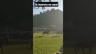 Cavalhada - Sao pedro de Catuçaba - SLP