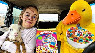 Rubber Ducky Surprises Chucky & Golden Retriever With Car ride Chase by Ducky life