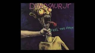 Dinosaur Jr - Feel The Pain